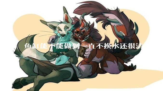 鱼缸能不能做到一直不换水还很清澈?