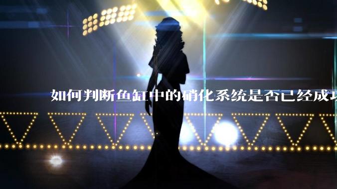 如何判断鱼缸中的硝化系统是否已经成功建立?