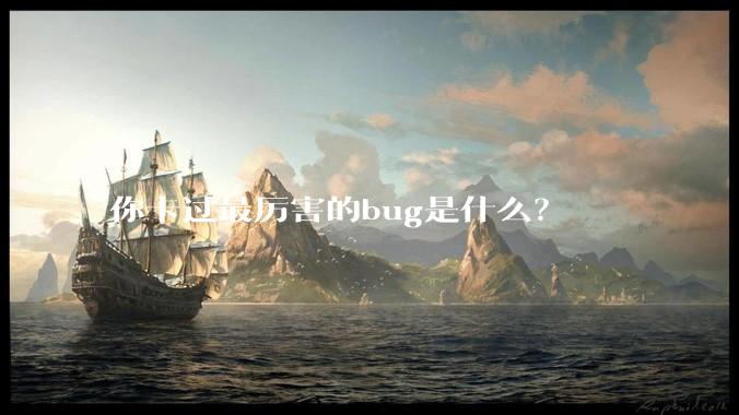 你卡过最厉害的bug是什么?