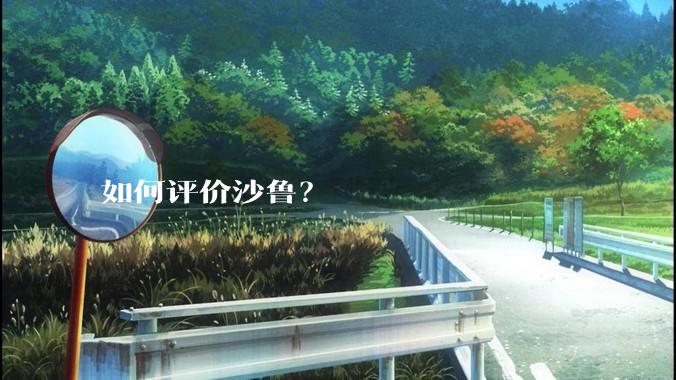 如何评价沙鲁?