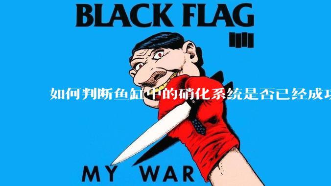 如何判断鱼缸中的硝化系统是否已经成功建立?