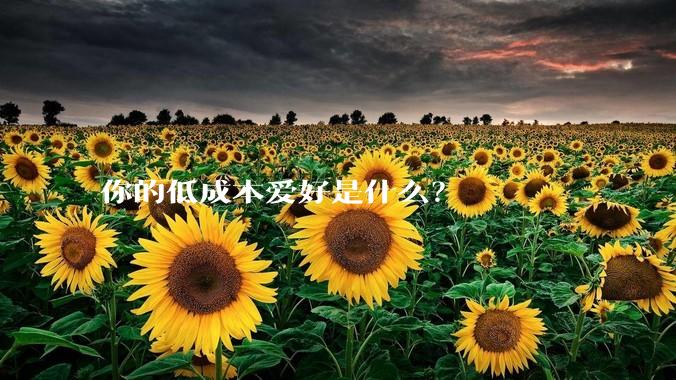 你的低成本爱好是什么?