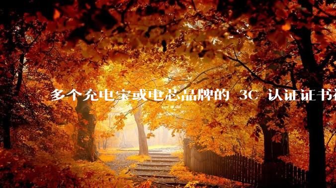 多个充电宝或电芯品牌的 3C 认证证书被暂停,涉及罗马仕、安克、绿联、倍思、安普瑞斯等,发生了什么?