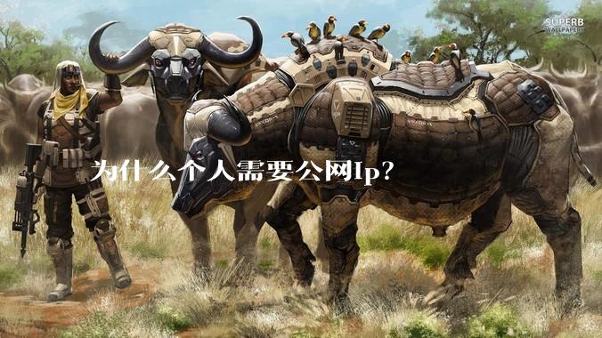 为什么个人需要公网ip?