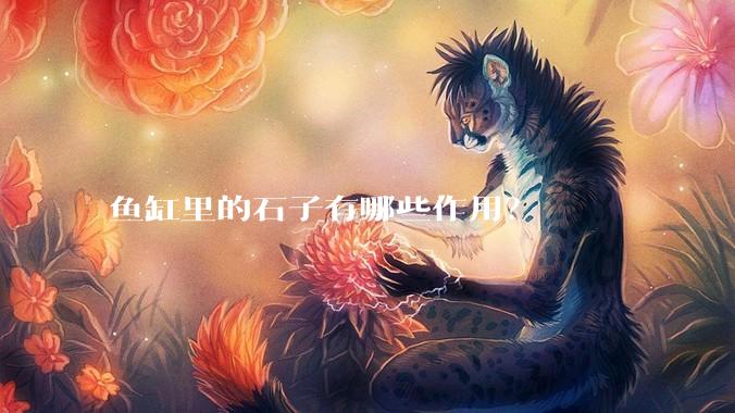鱼缸里的石子有哪些作用?
