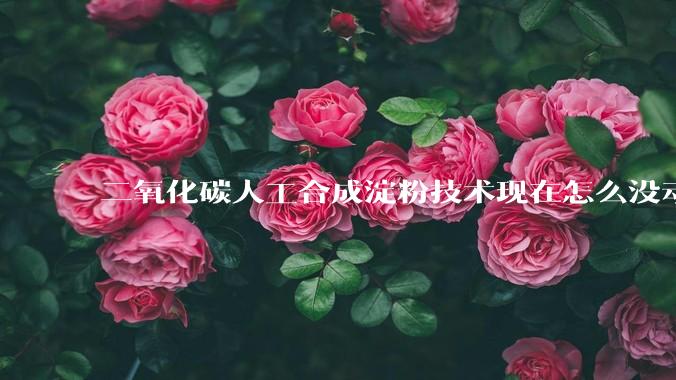 二氧化碳人工合成淀粉技术现在怎么没动静了?