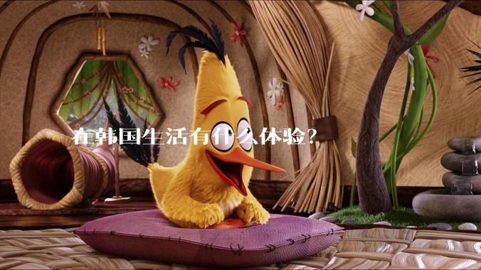 在韩国生活有什么体验?