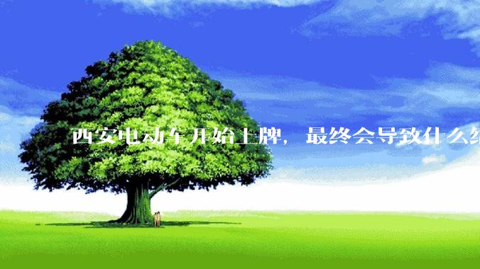 西安电动车开始上牌,最终会导致什么结果?