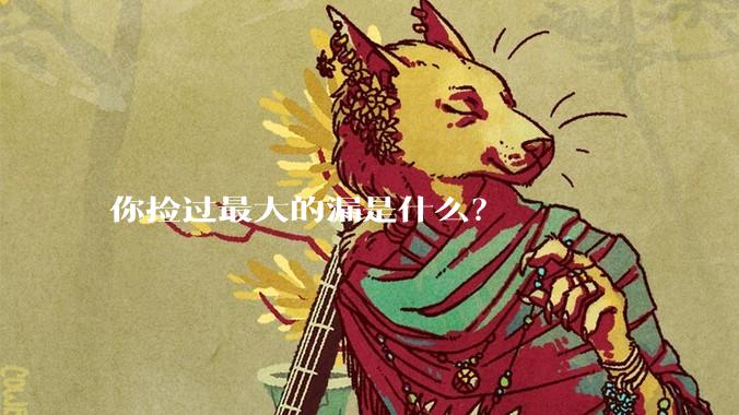 你捡过最大的漏是什么?