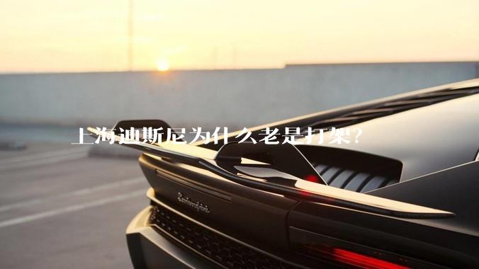 上海迪斯尼为什么老是打架?
