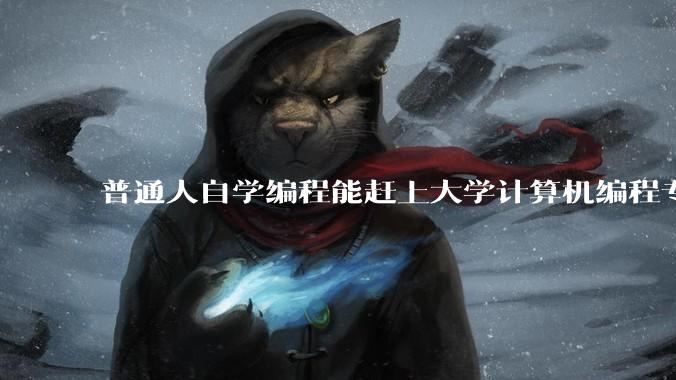 普通人自学编程能赶上大学计算机编程专业的水平吗?