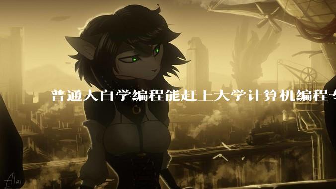 普通人自学编程能赶上大学计算机编程专业的水平吗?