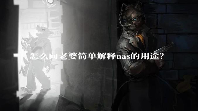怎么向老婆简单解释nas的用途?