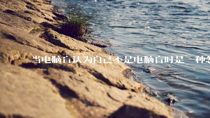 当电脑盲认为自己不是电脑盲时是一种怎样的体验?