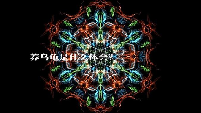 养乌龟是什么体会?