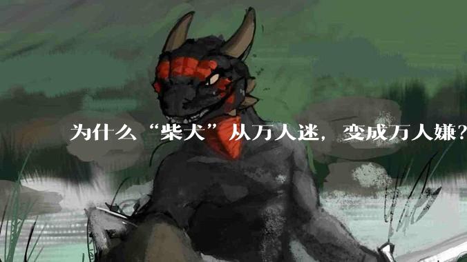 为什么“柴犬”从万人迷,变成万人嫌?