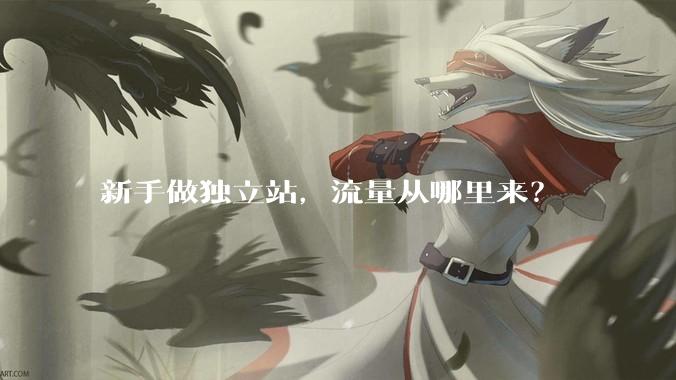 新手做独立站,流量从哪里来?