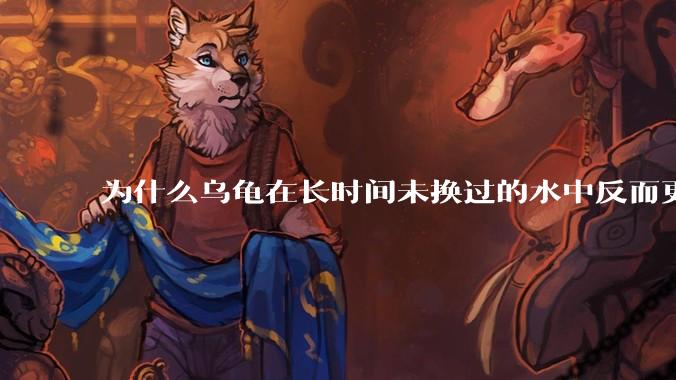 为什么乌龟在长时间未换过的水中反而更活跃?