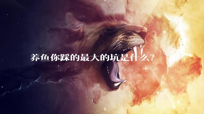 养鱼你踩的最大的坑是什么?