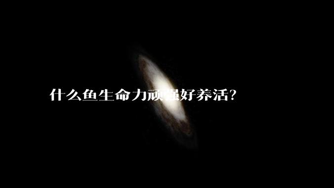 什么鱼生命力顽强好养活?