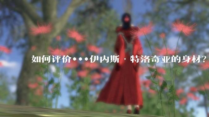 如何评价***伊内斯·特洛奇亚的身材?