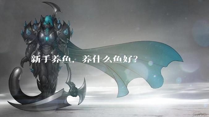 新手养鱼,养什么鱼好?