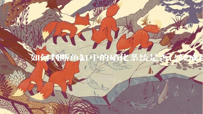如何判断鱼缸中的硝化系统是否已经成功建立?