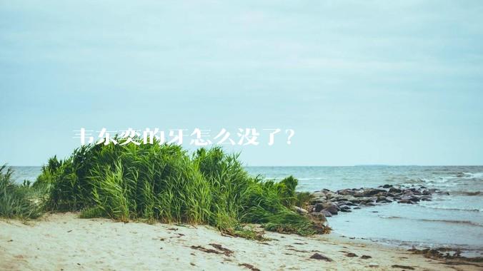 韦东奕的牙怎么没了?